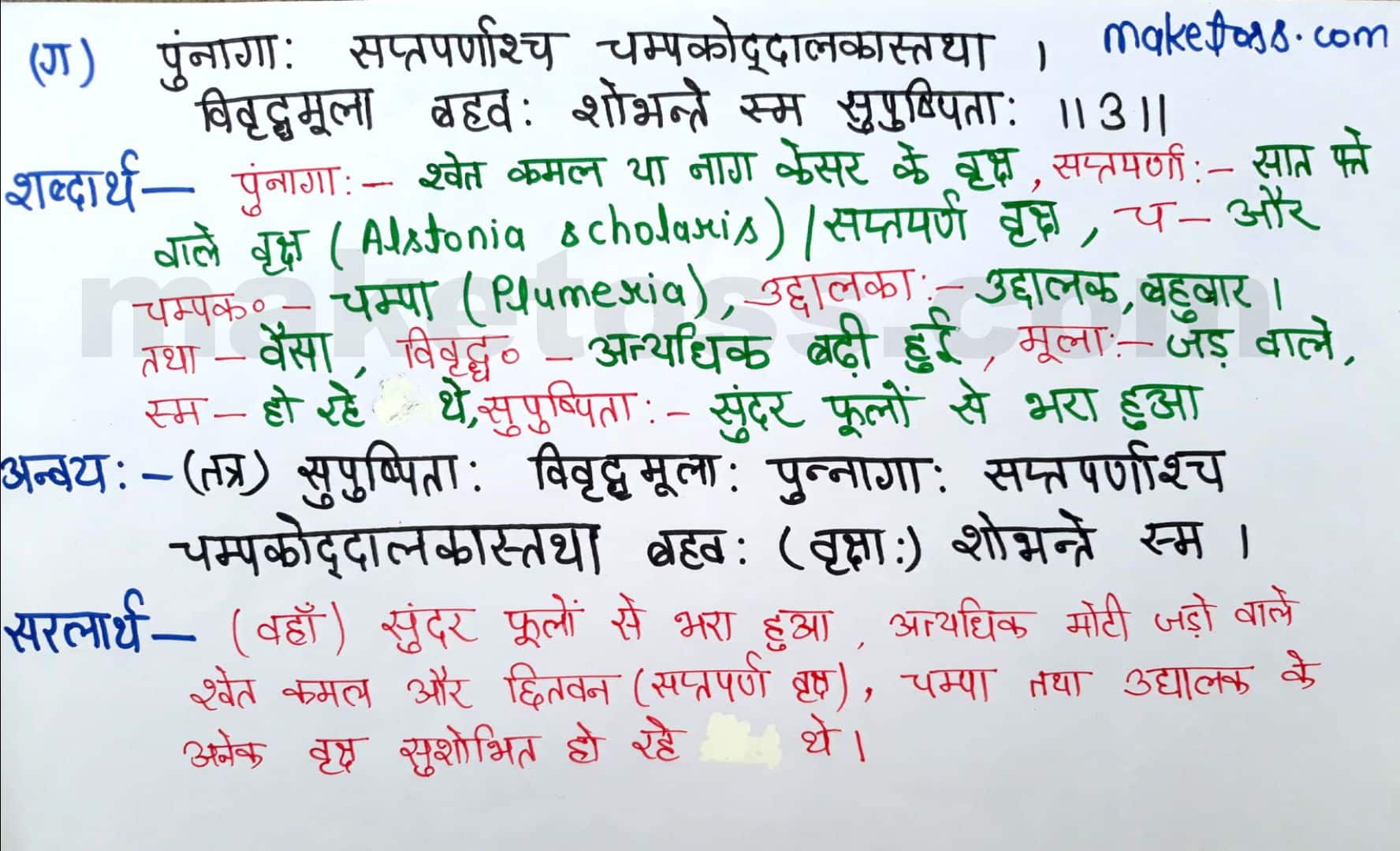 class 8 Sanskrit chapter 10