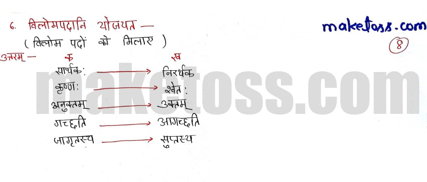 Sanskrit class 6 chapter 8 सूक्तिस्तवकः -NCERT Exercise Solution of Q.6