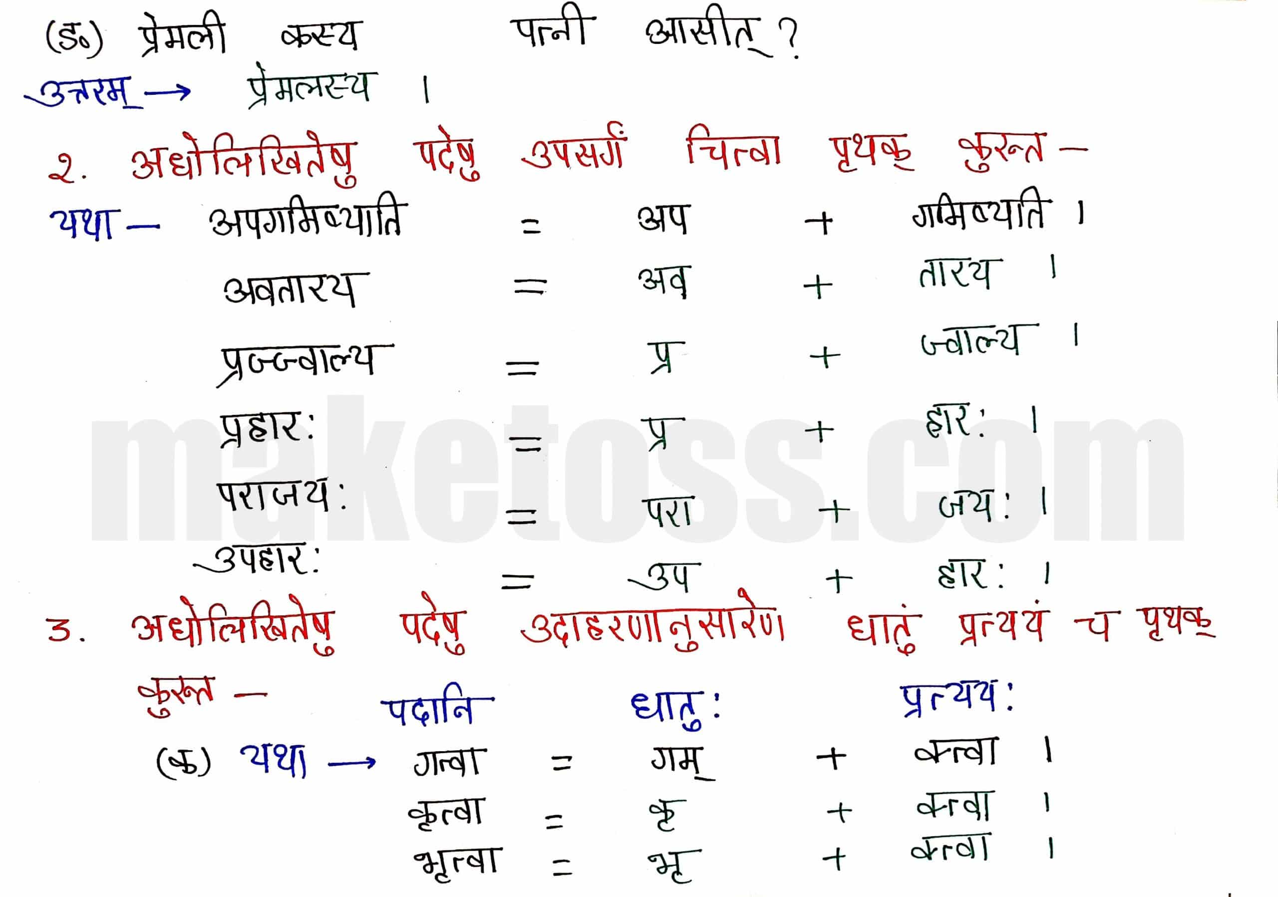 Class 8 Sanskrit chapter 6-प्रेमलस्य प्रेमल्याश्च कथा-page 2