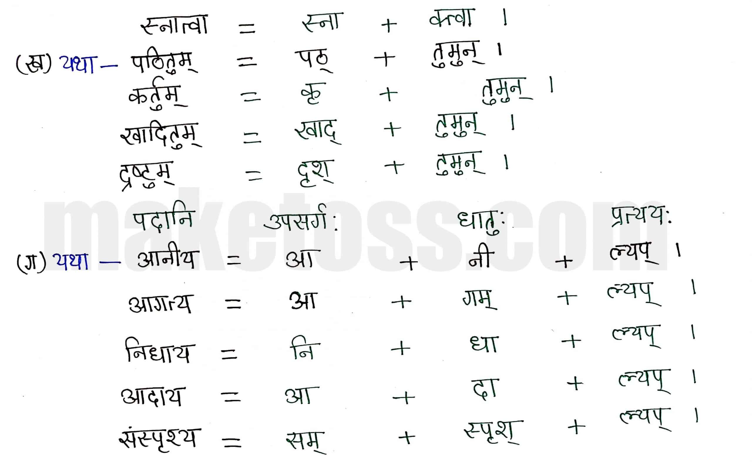 Class 8 Sanskrit chapter 6-प्रेमलस्य प्रेमल्याश्च कथा-page 3