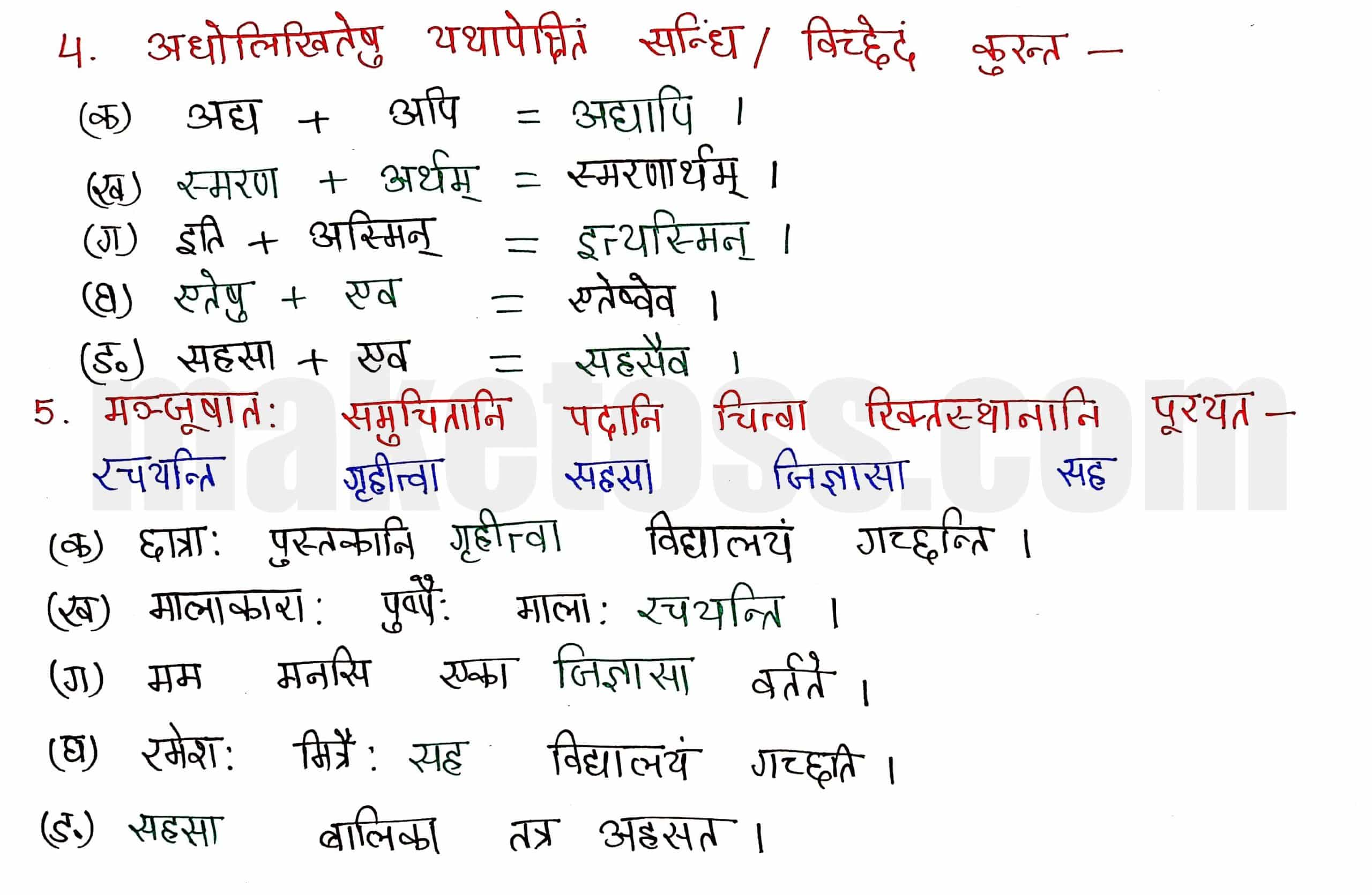 Sanskrit class 8 chapter 8-संसारसागरस्य नायकाः page 4