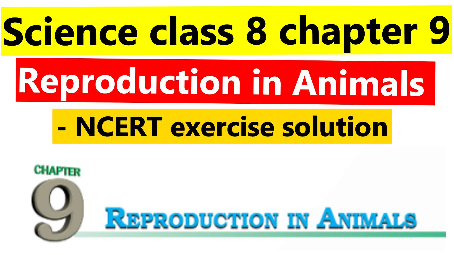 Science class 8 chapter 9 - Reproduction in Animals - NCERT exercise  solutions