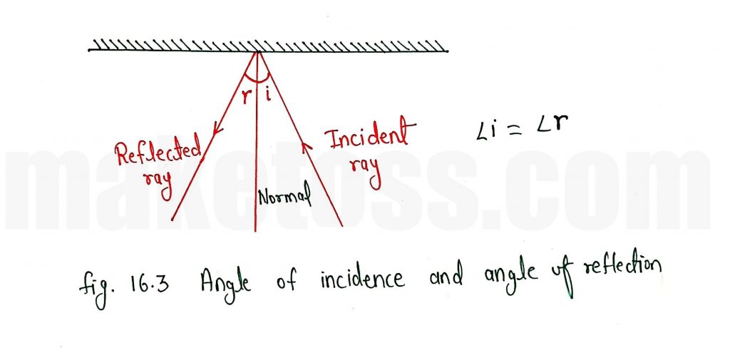 Law of reflection - The angle of incidence is equal to the angle of reflection