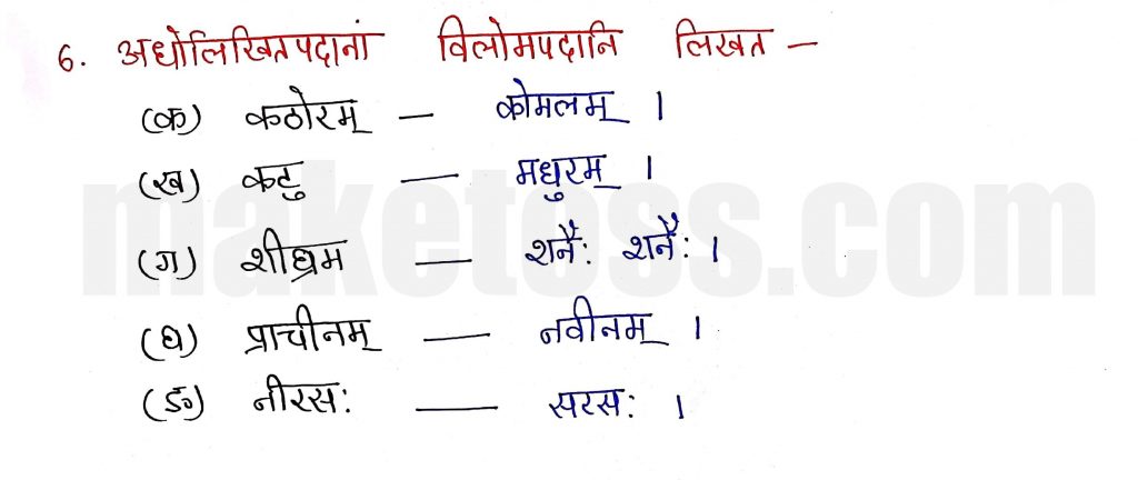Sanskrit Class 9- Chapter 1- भारतीवसन्तगीतिः - Question 6 with Answer