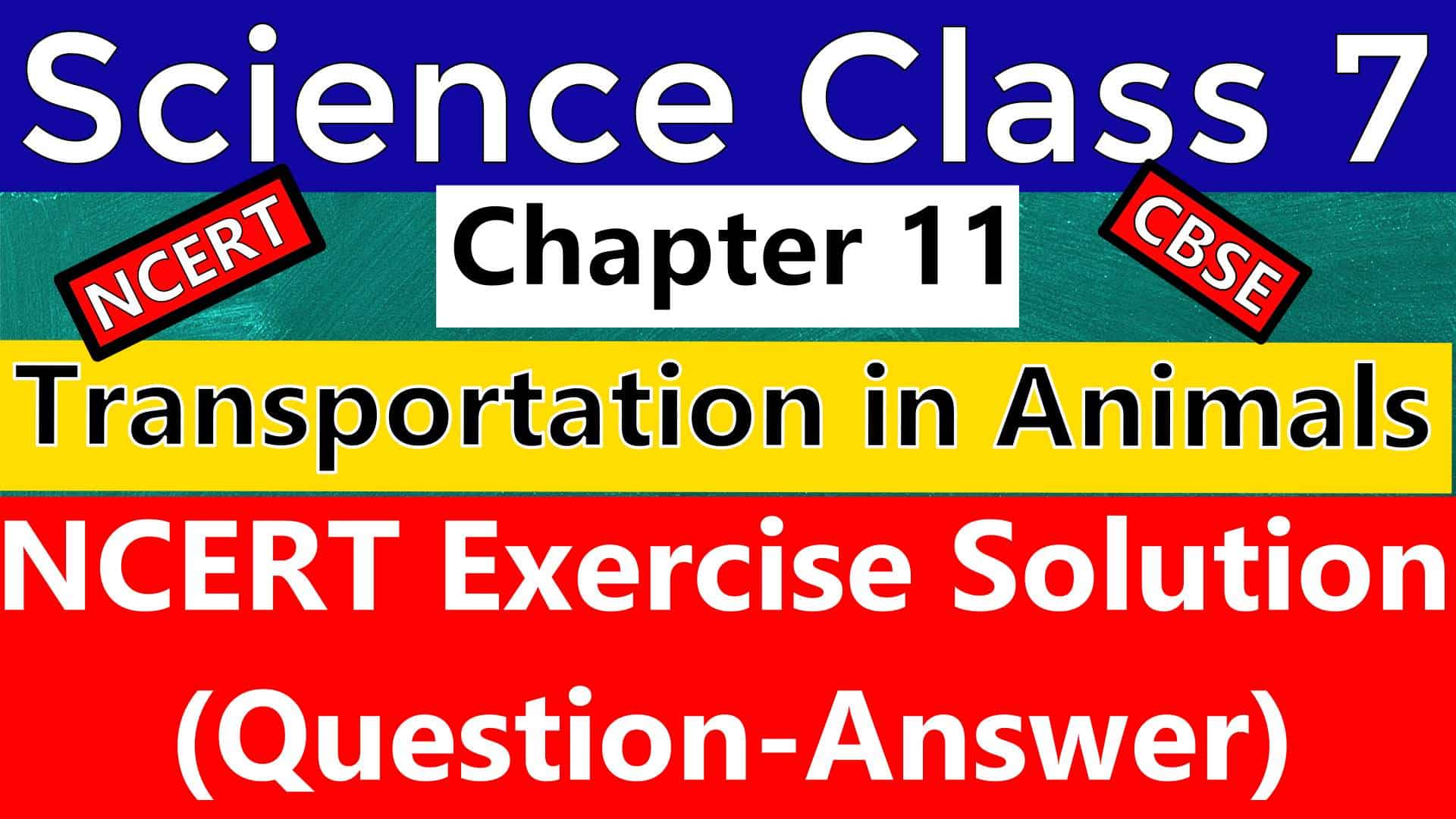 Transportation in Animals and Plants NCERT Exercise Solution- CBSE