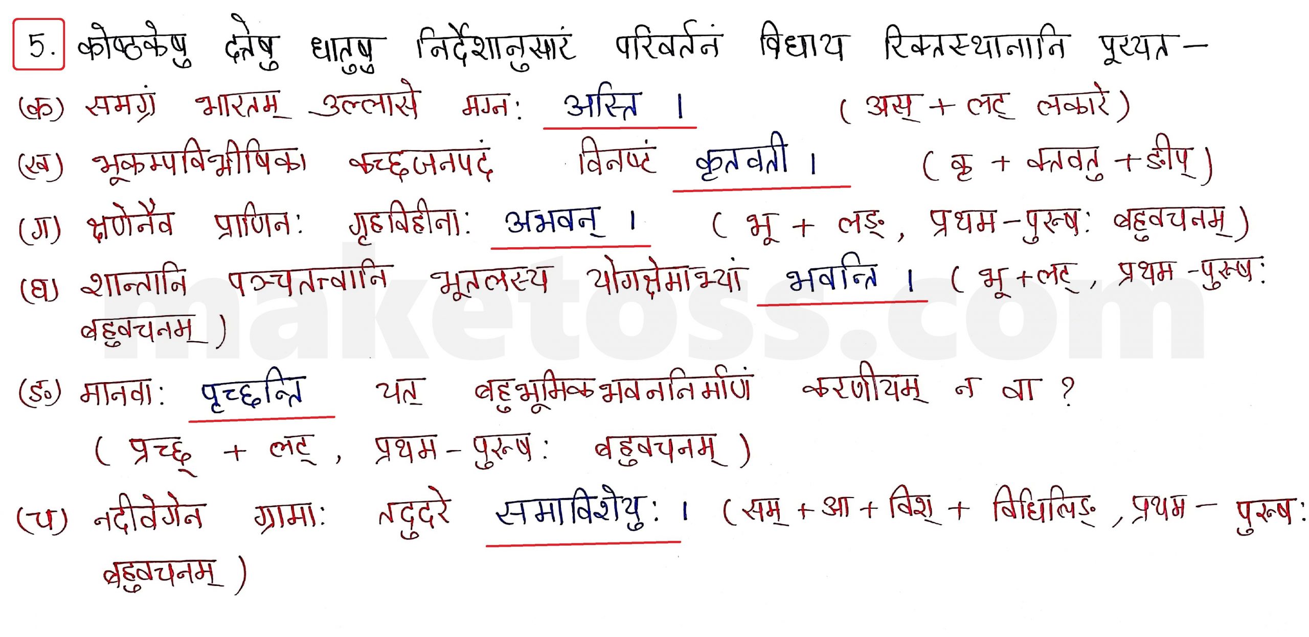 Sanskrit Class 10 - Chapter 10 - भूकंपविभीषिका Question 5 with Answer