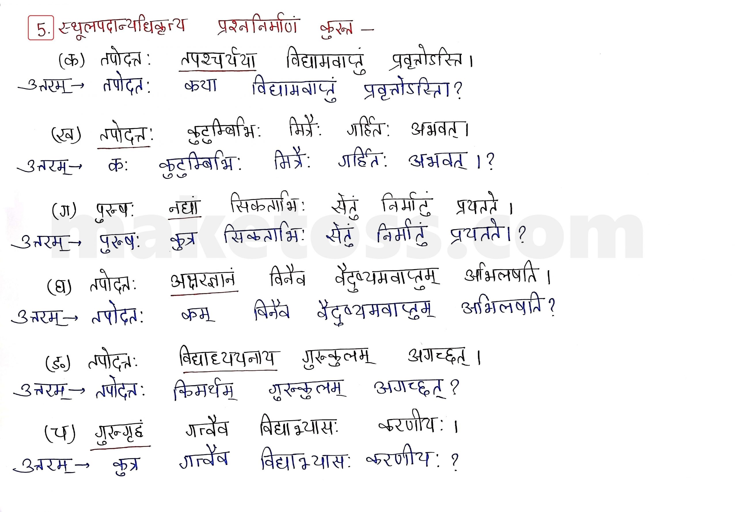 Sanskrit Class 9 - Chapter 9 - सिकतासेतुः  - Question 5 with Answer