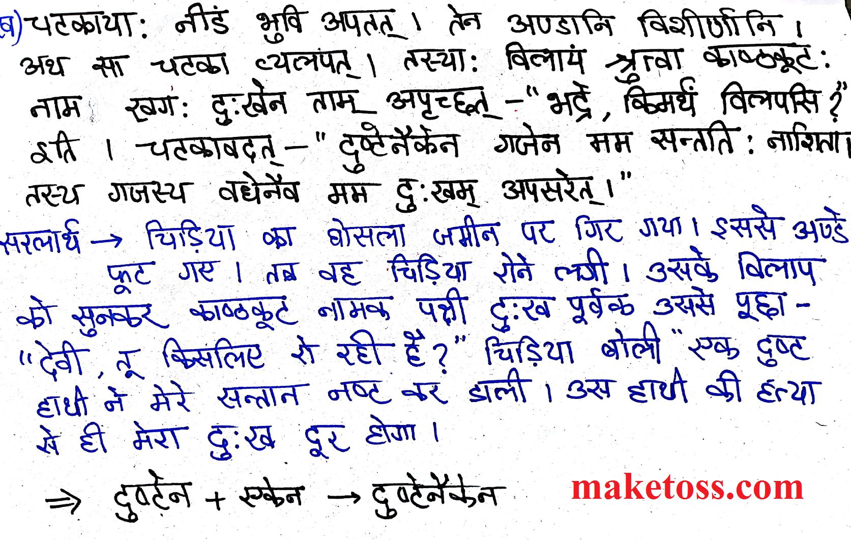 Class 7 Sanskrit Chapter 11 समवायो हि दुर्जय: --Hindi translation - page 2