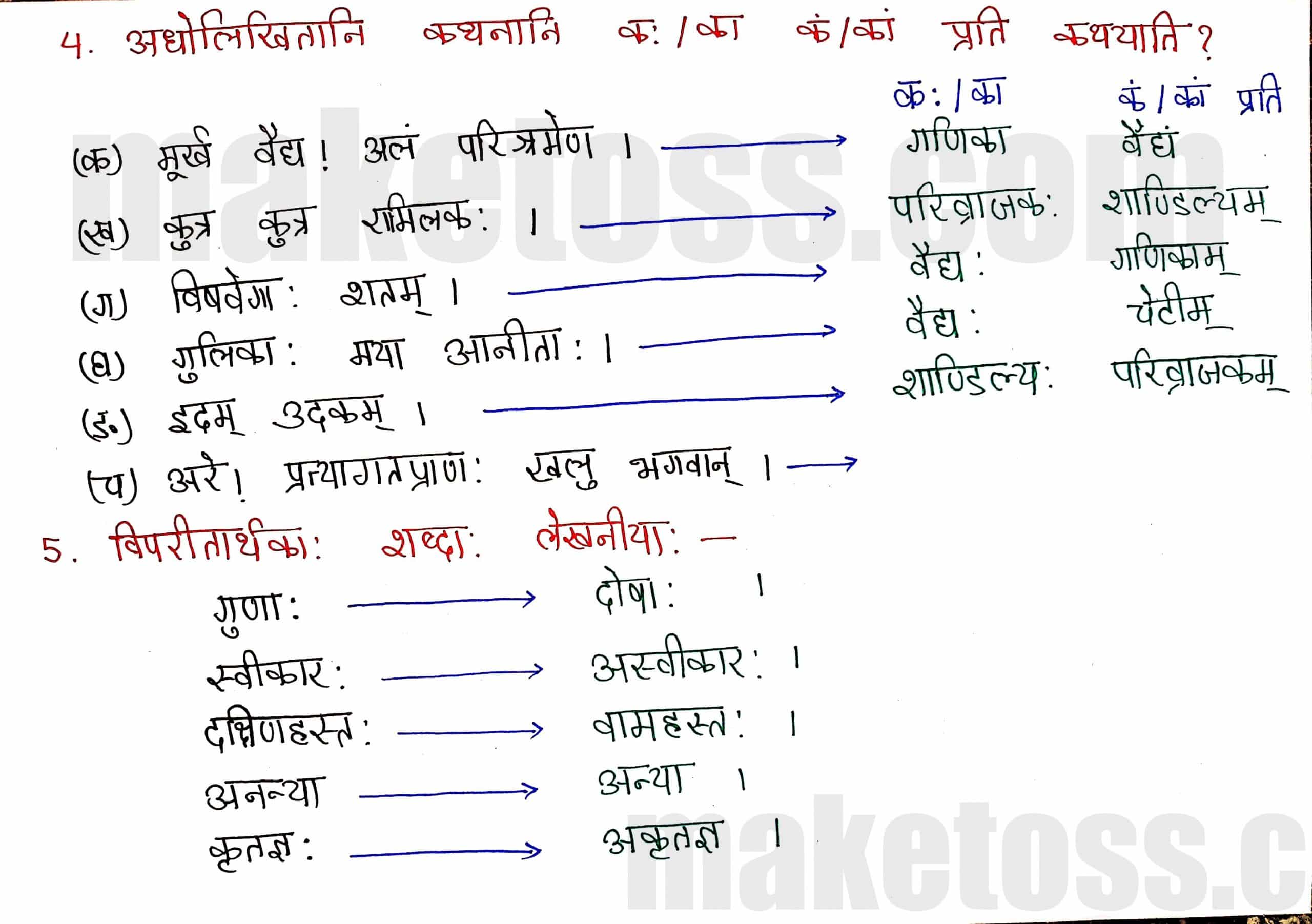Sanskrit Class 8- Chapter 3-भगवदज्जुकम्-page 3
