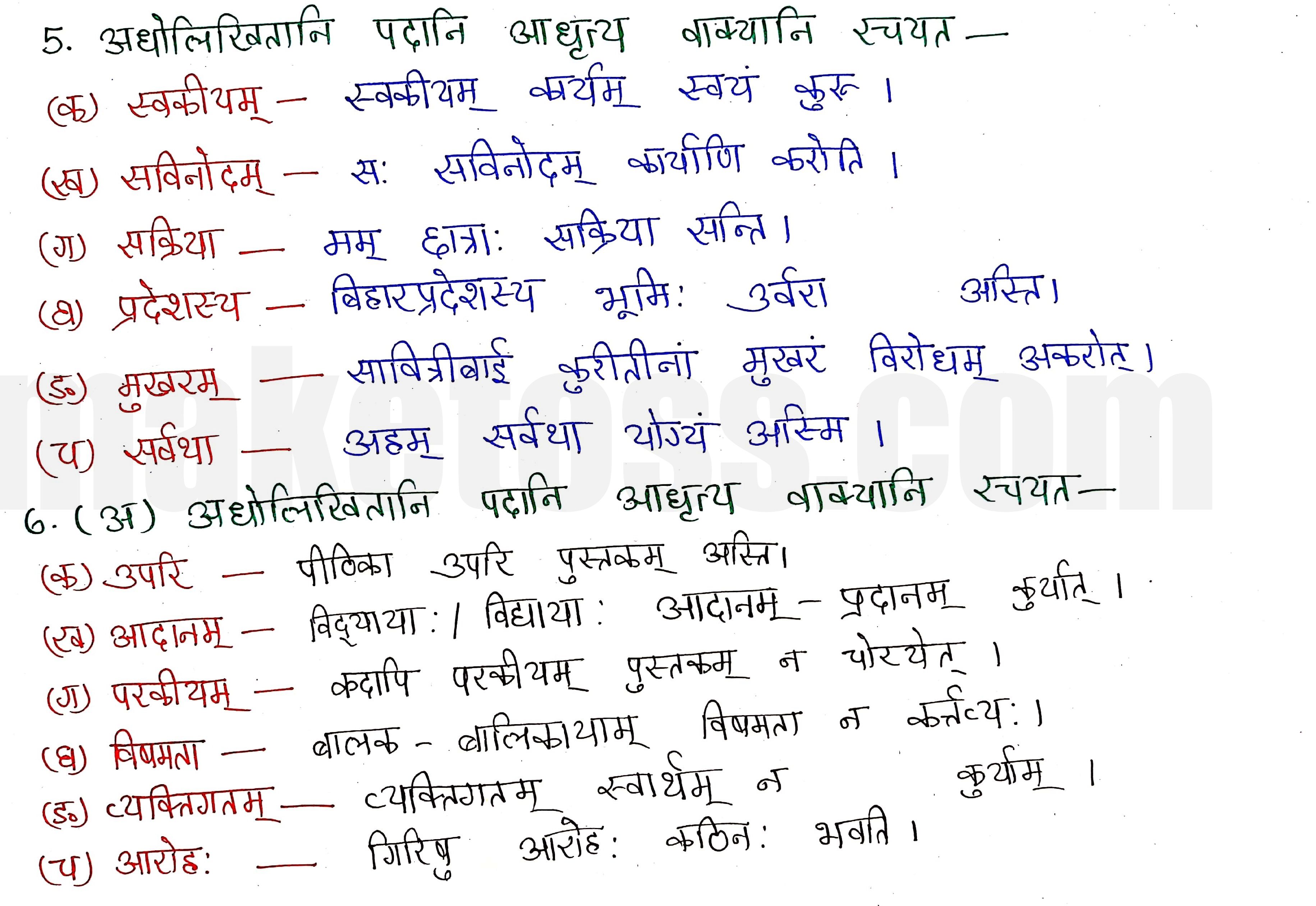 sanskrit class 8 chapter 11.6