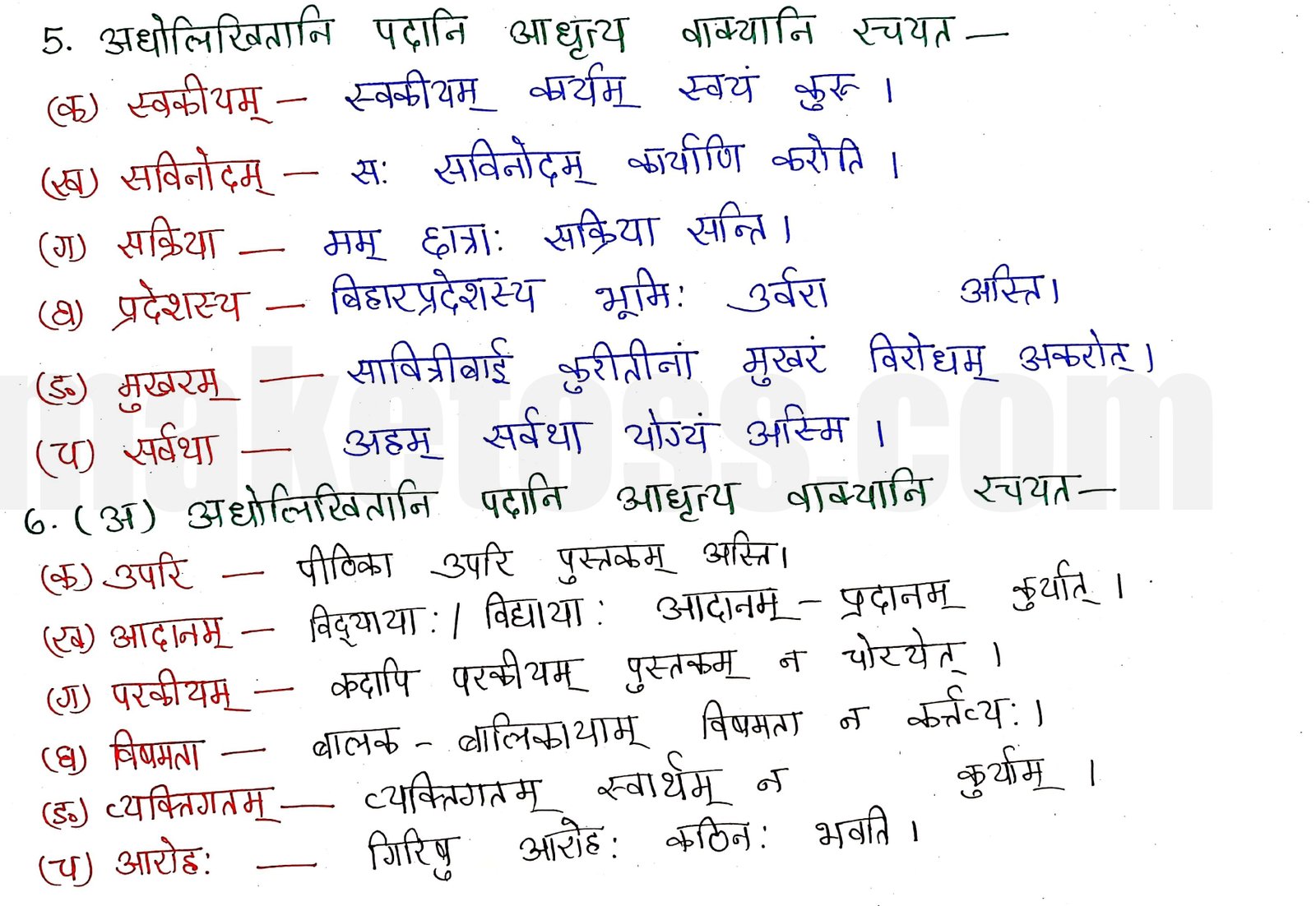 sanskrit-class-8-chapter-8-ncert-exercise-solution-photos