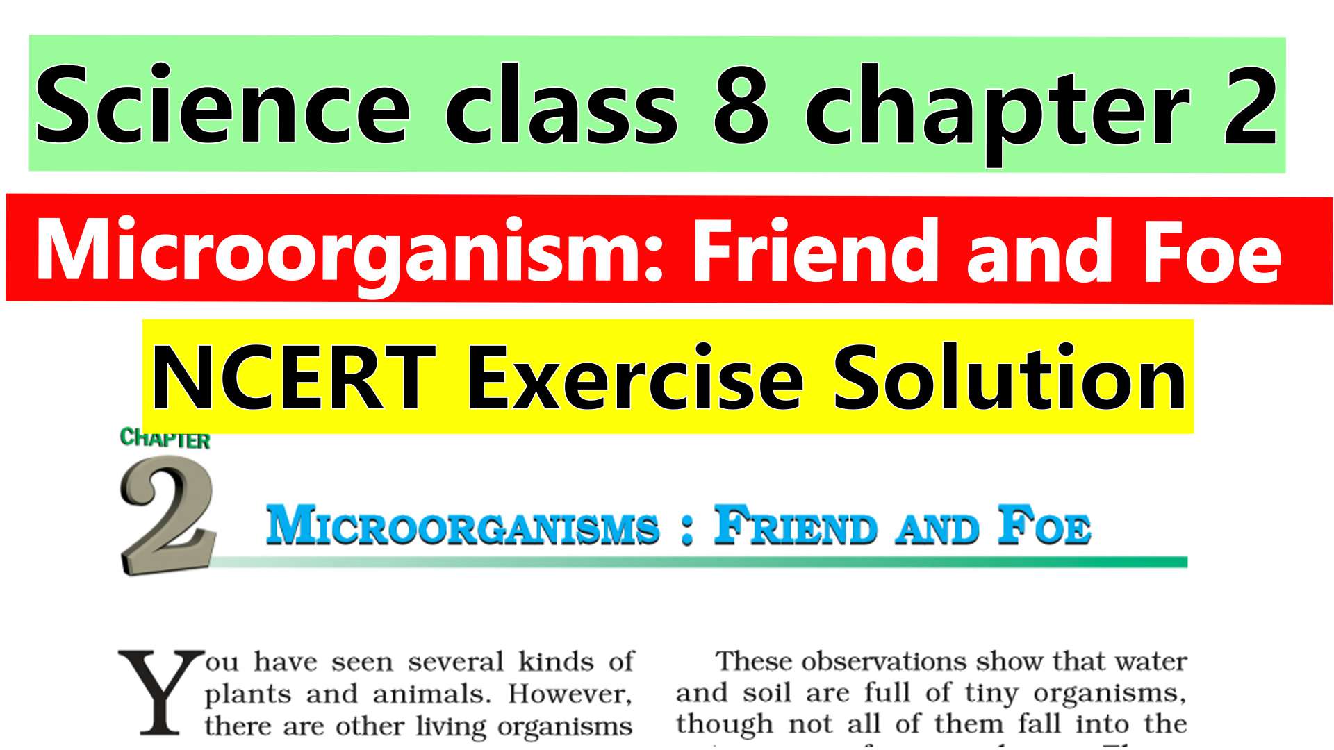 Science class 8 chapter 2- Microorganism Friend and Foe - NCERT Exercise Solution