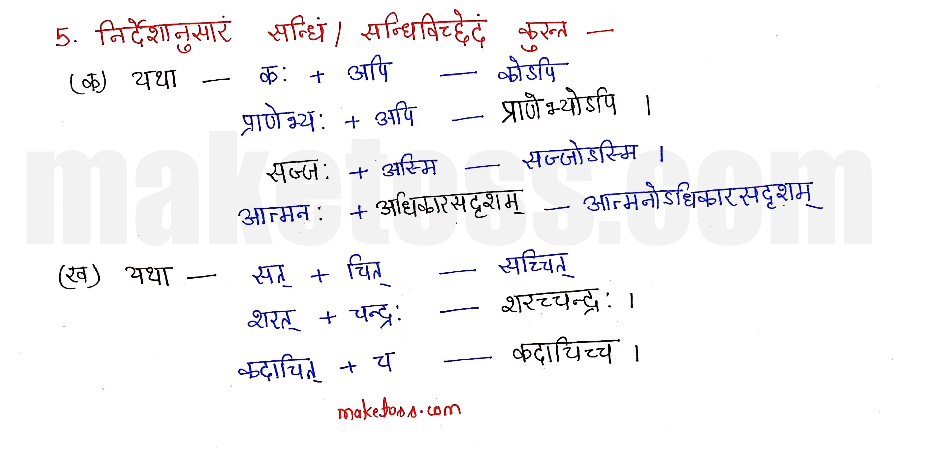sanskrit class 10 chapter 11 Q.5