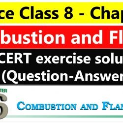 Science Class 8 - Chapter 6- Combustion and Flame - NCERT exercise solution (Question-Answer)