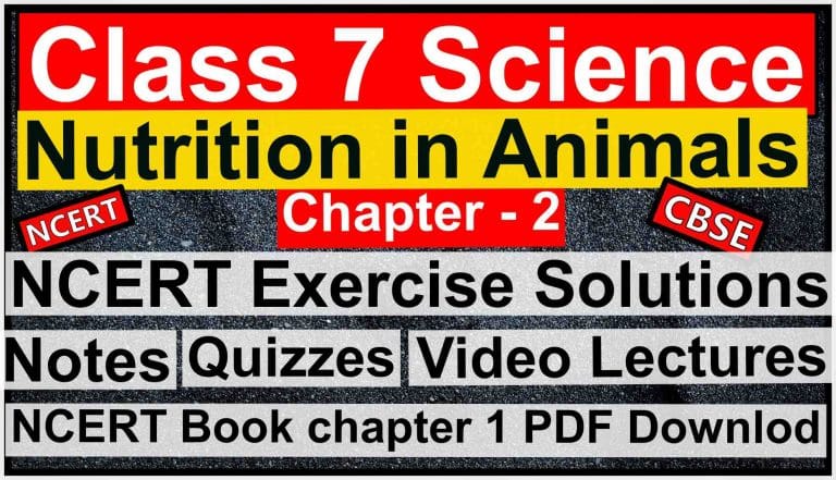 Class 7 Science - Chapter 2 - Nutrition in Animals