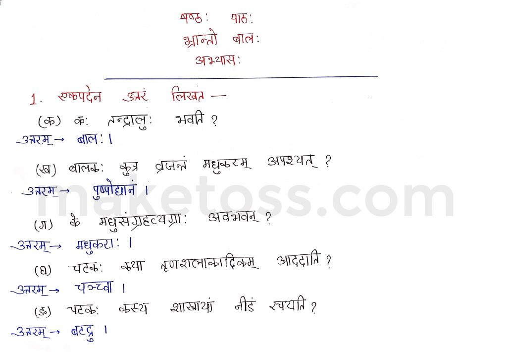 Sanskrit Class 9- Chapter 6- भ्रान्तो बालः -Question 1 with Answer