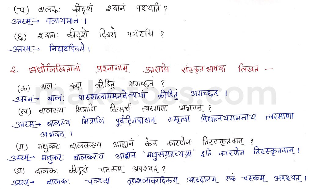 Sanskrit Class 9- Chapter 6- भ्रान्तो बालः -Question 2 with Answer
