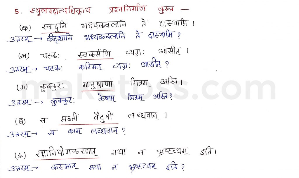Sanskrit Class 9- Chapter 6- भ्रान्तो बालः -Question 5 with Answer