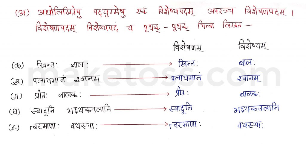 Sanskrit Class 9- Chapter 6- भ्रान्तो बालः -Question 7(अ) with Answer
