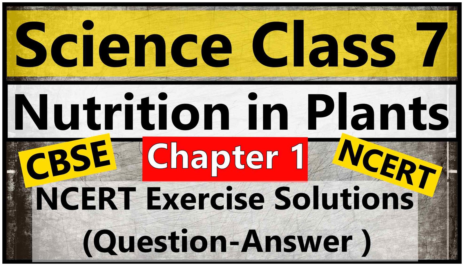 Science Class 7 Chapter 1 Nutrition In Plants NCERT Exercise Solutions