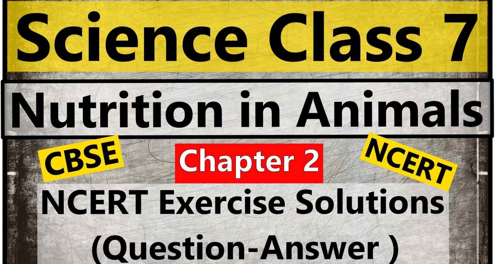 Science Class 7 – Chapter 2 – Nutrition in Animals – NCERT Exercise Solutions ( Question-Answer )