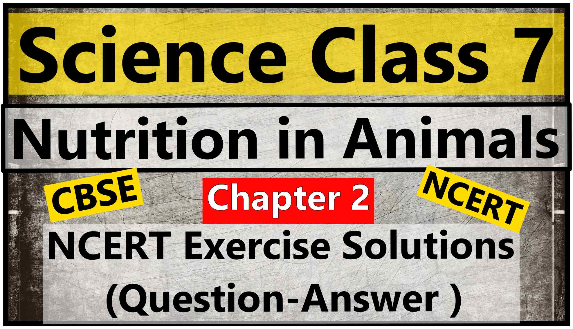 Science Class 7 – Chapter 2 – Nutrition in Animals – NCERT Exercise Solutions ( Question-Answer )