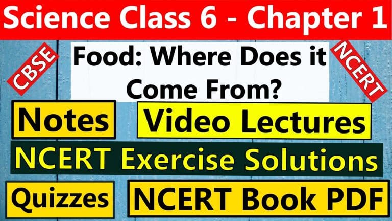 CBSE Science Class 6 - Chapter 1 - Food Where Does it Come From- Notes, Video Lectures, NCERT Exercise Solutions, Quizzes, NCERT Book Chapter 1 PDF Download