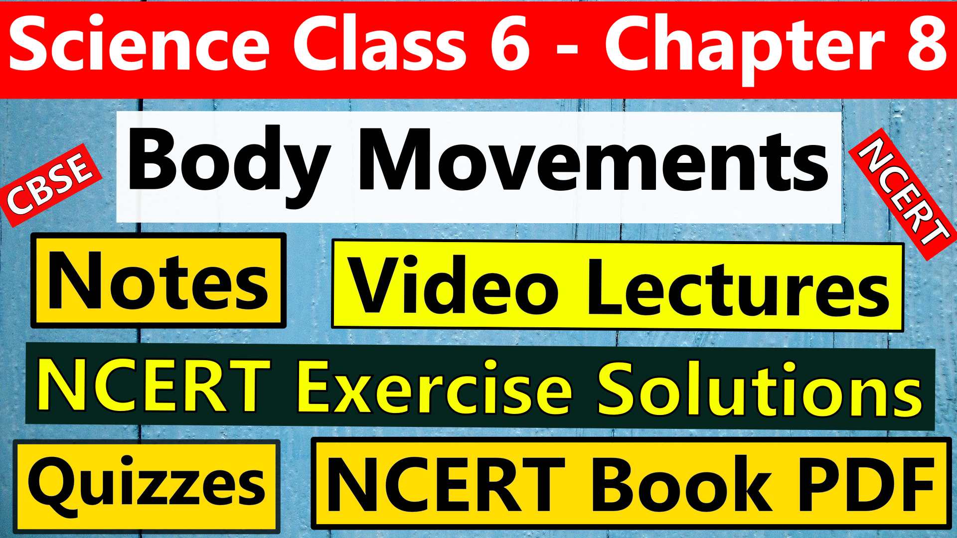 CBSE Science Class 6 - Chapter 8 -Body Movements - Notes, Video Lecture, NCERT Exercise Solution, Quizzes, NCERT Book Chapter 8 PDF Download.