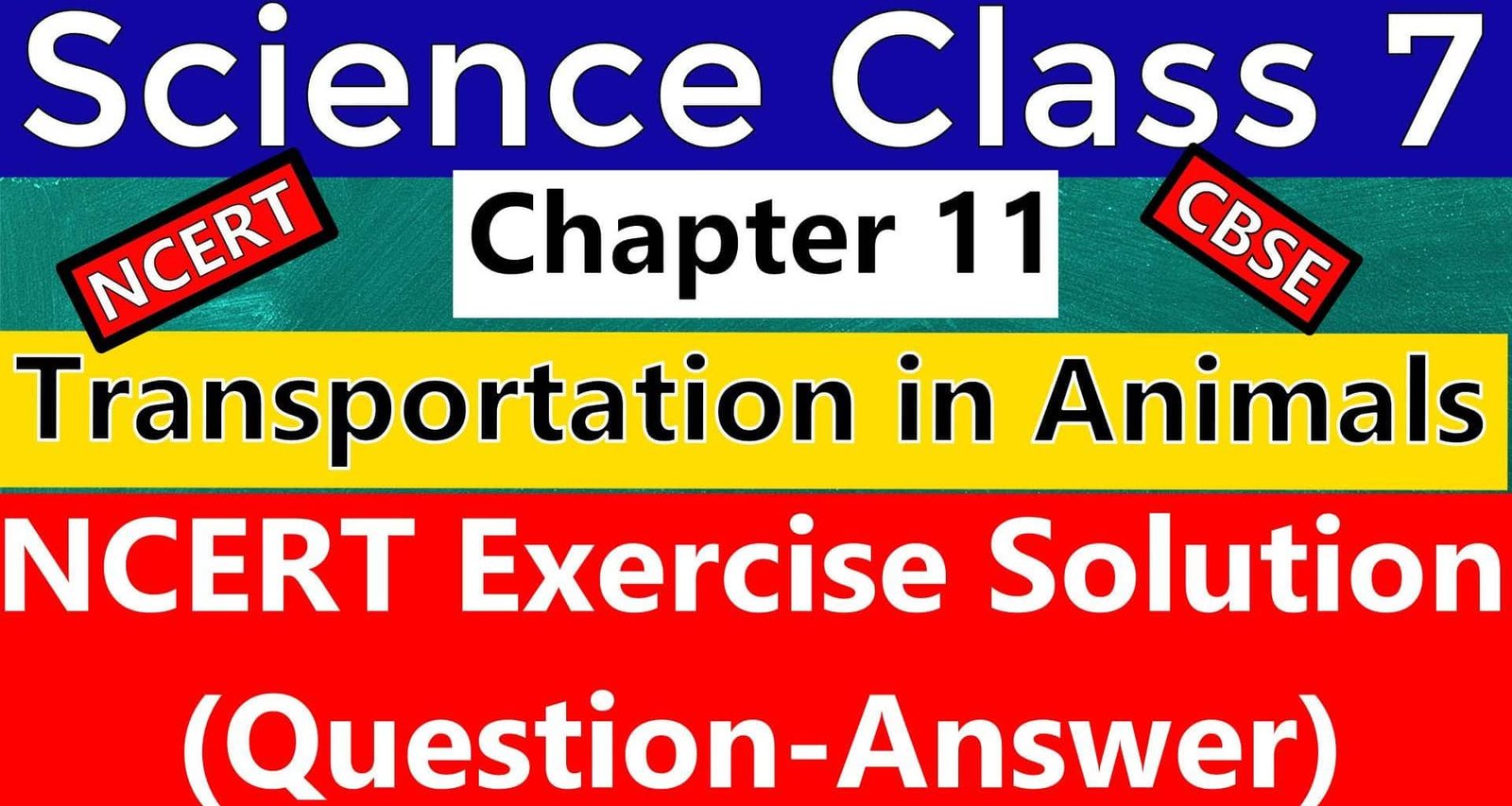 CBSE Science Class 7- Chapter 11- Transportation in Animals and Plants- NCERT Exercise Solution (Question-Answer) is provided below. Total 13 Questions are in this NCERT Chapter Exercise, all are solved here.