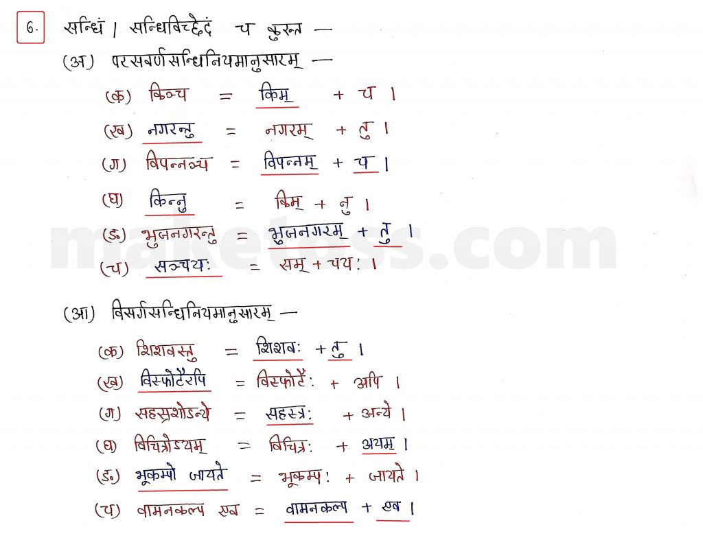 Sanskrit Class 10 - Chapter 10 - भूकंपविभीषिका Question 6 with Answer