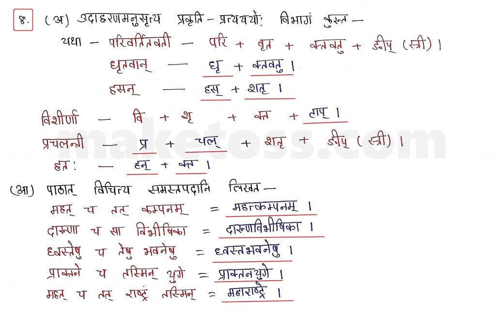 Sanskrit Class 10 - Chapter 10 - भूकंपविभीषिका Question 8 with Answer