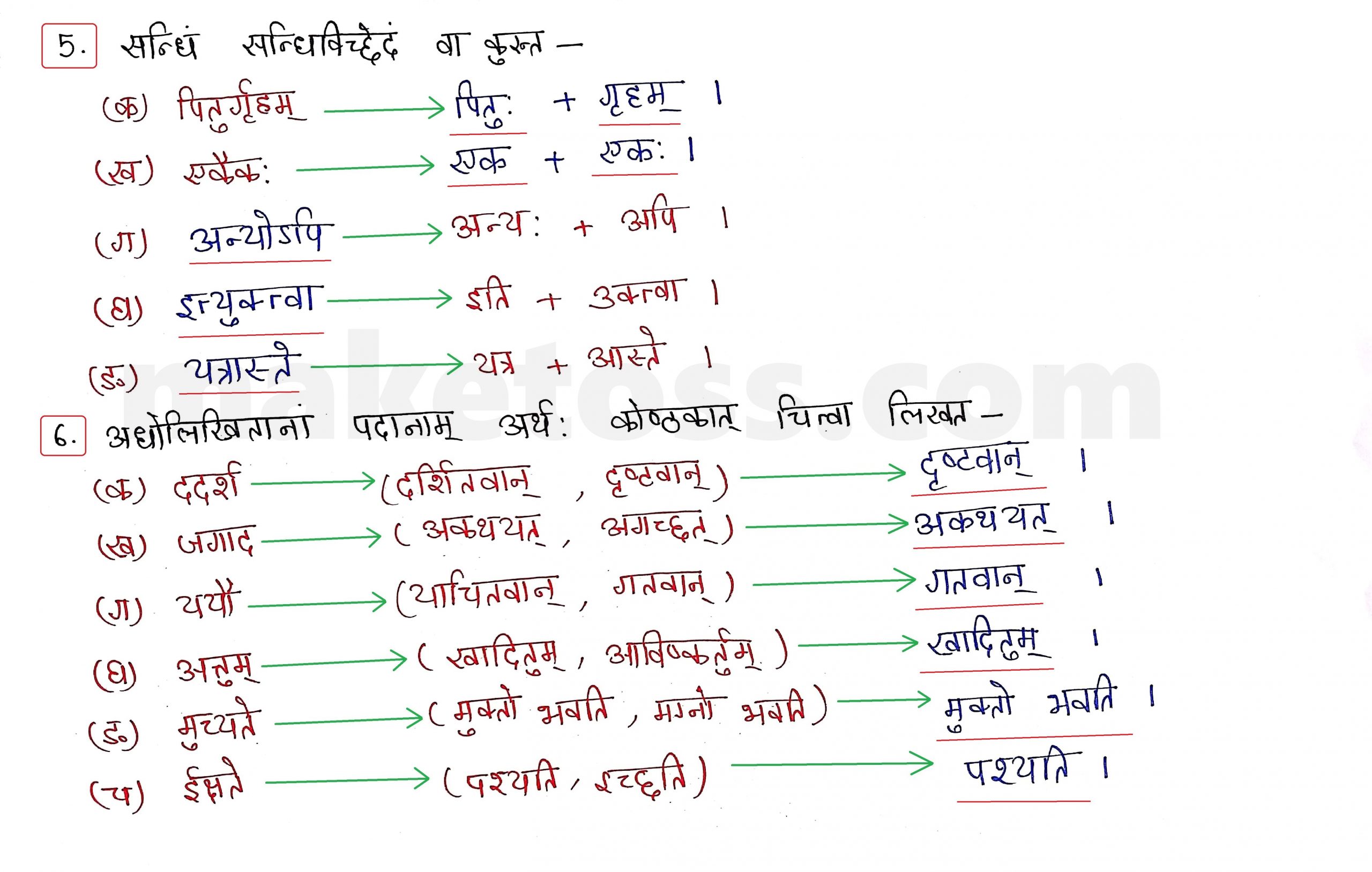 Sanskrit Class 10 - Chapter 2 - बुद्धिर्बलवती सदा - Question 5 & 6 with Answer
