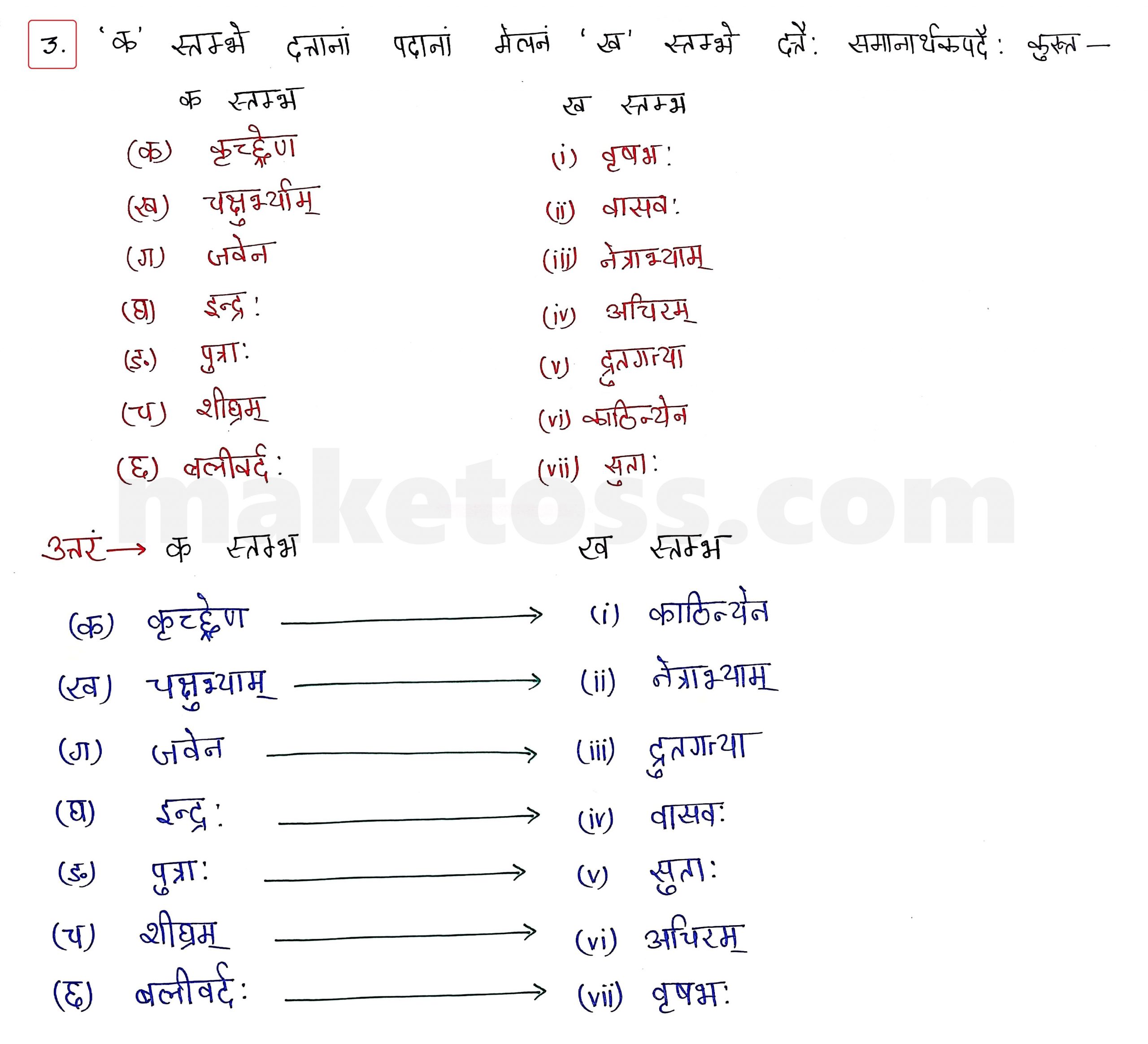 Sanskrit Class 10 - Chapter 5 - जननी तुल्यवत्सला  - Question 3 with Answer
