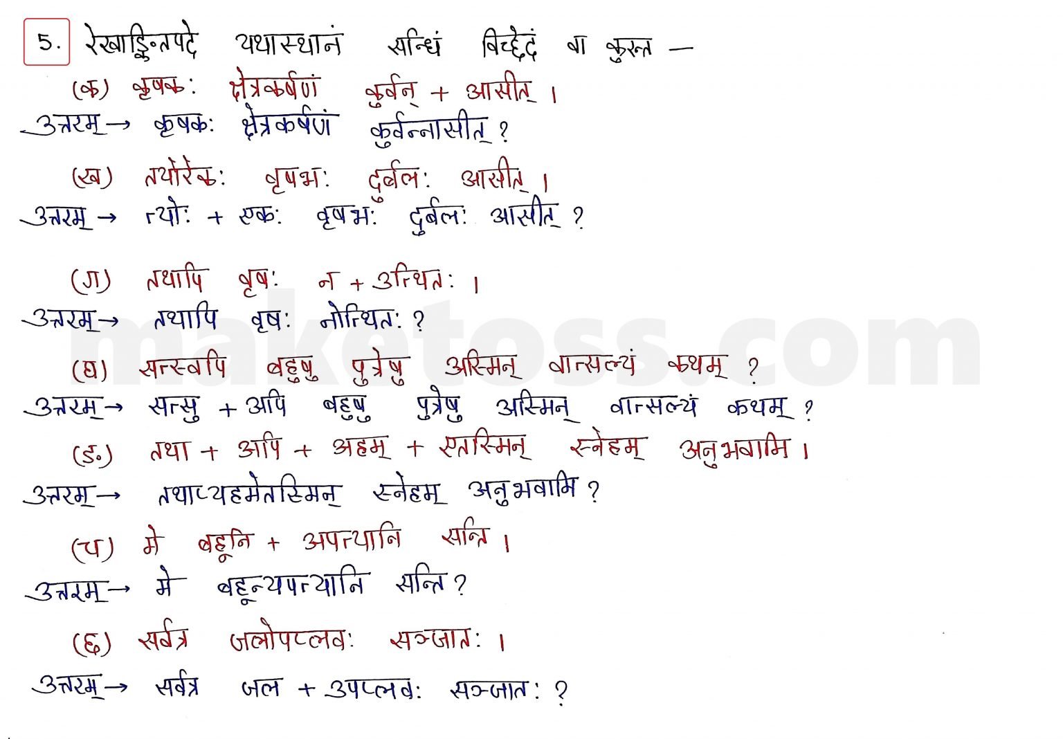 Sanskrit Class 10 - Chapter 4 - जननी तुल्यवत्सला - NCERT Exercise ...