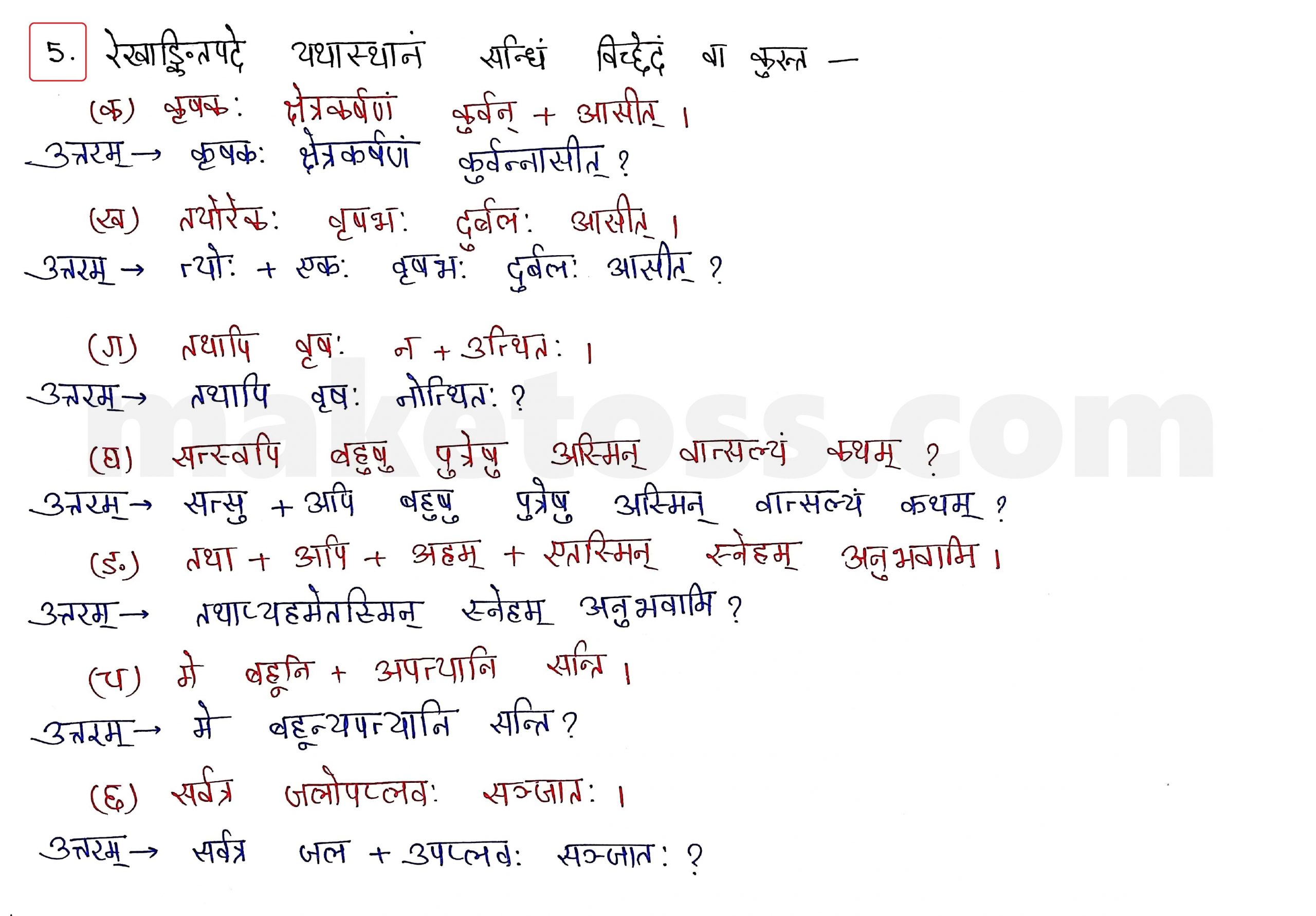 Sanskrit Class 10 - Chapter 5 - जननी तुल्यवत्सला  - Question 5 with Answer