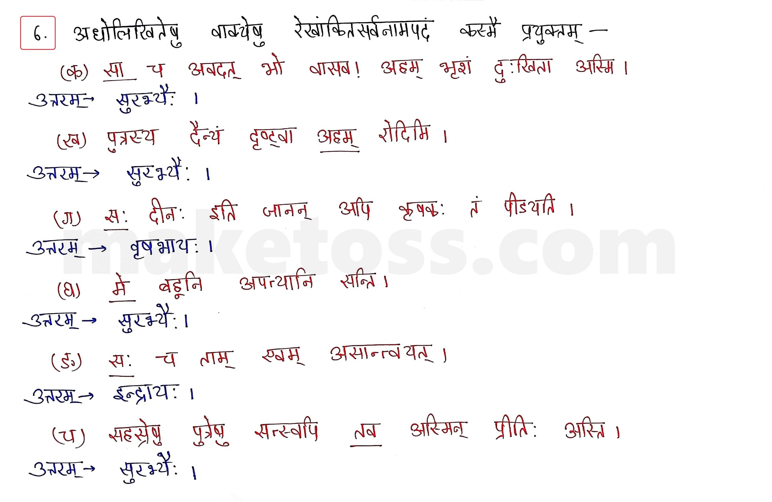 Sanskrit Class 10 - Chapter 5 - जननी तुल्यवत्सला  - Question 6 with Answer
