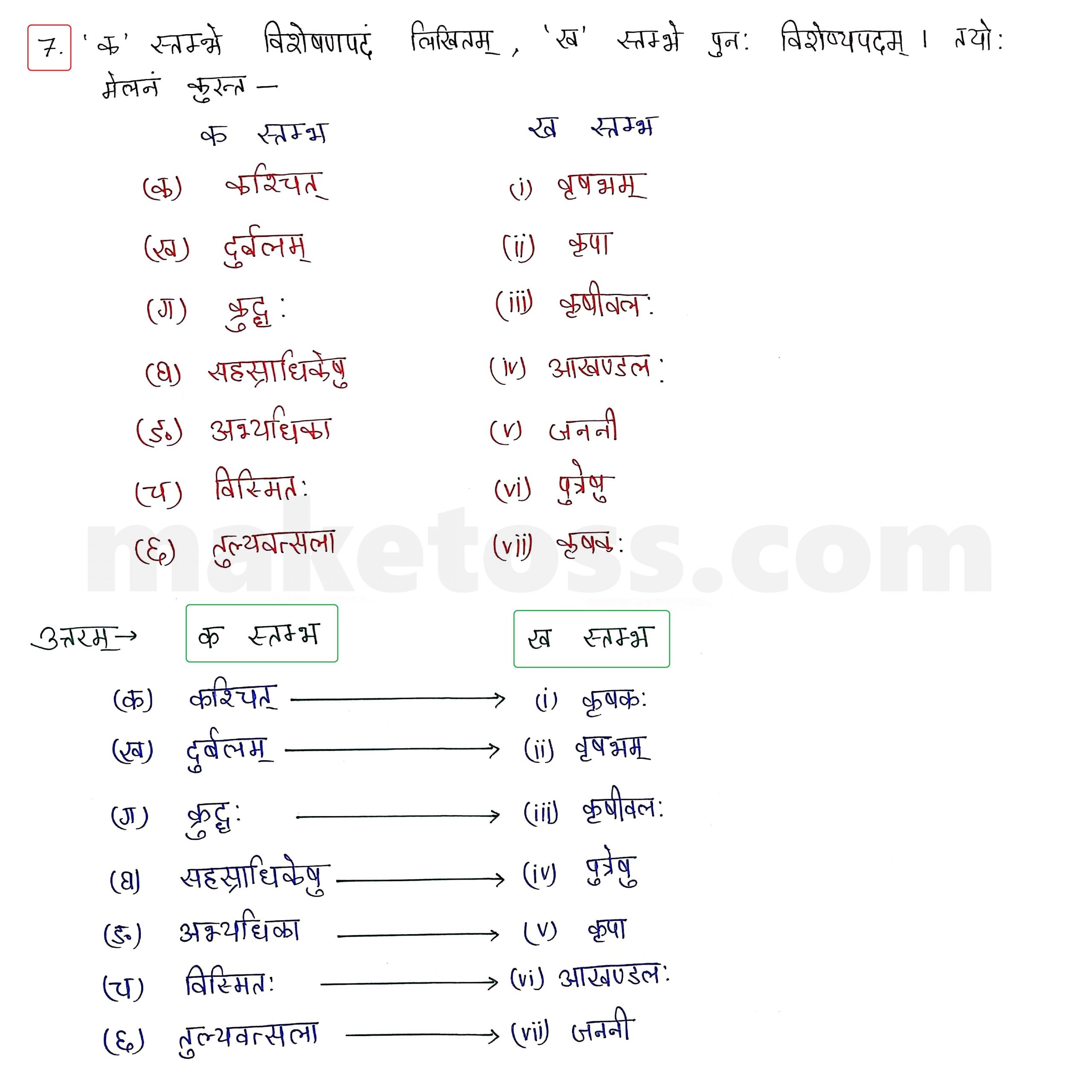 Sanskrit Class 10 - Chapter 5 - जननी तुल्यवत्सला  - Question 7 with Answer