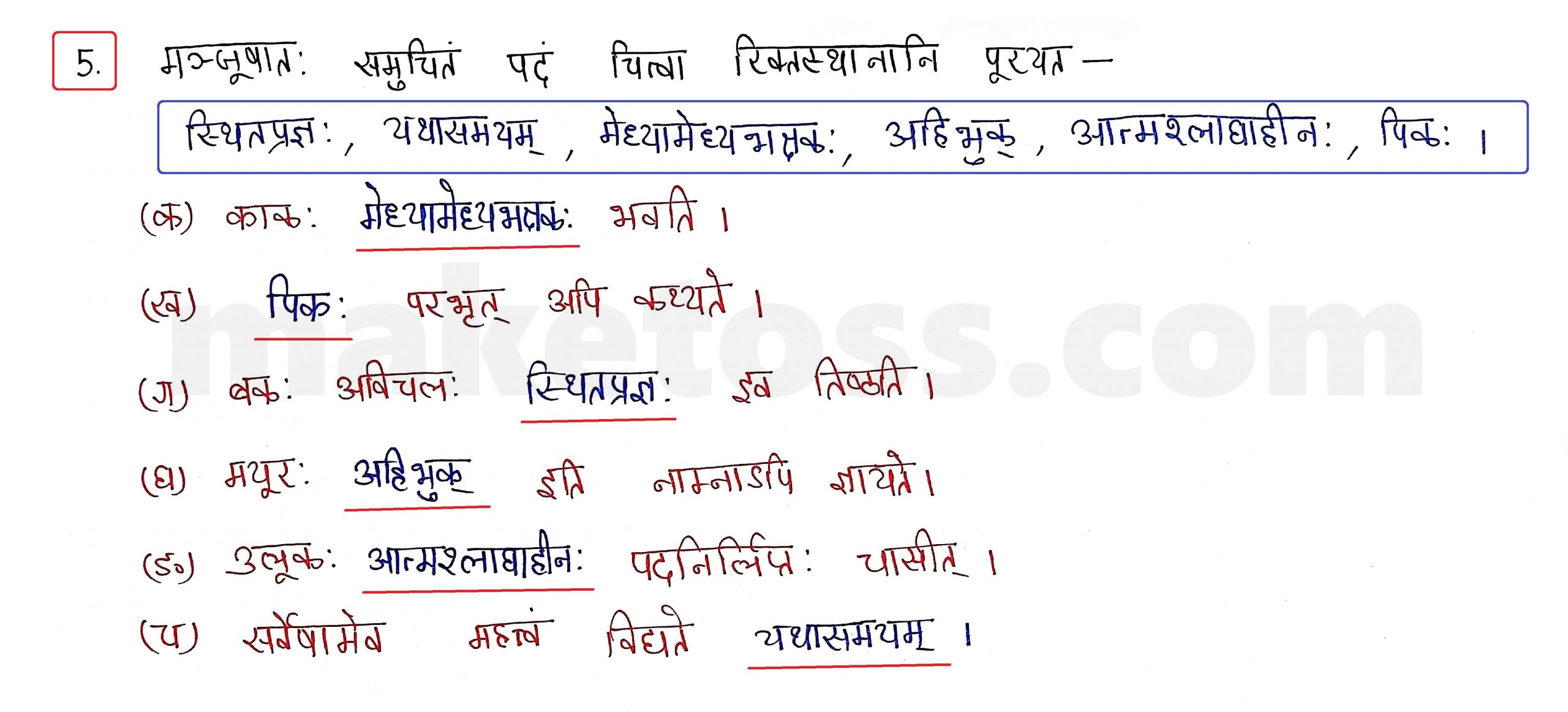 Sanskrit Class 10 - Chapter 7 - सौहार्दं प्रकृतेः शोभा - Question 5 with Answer