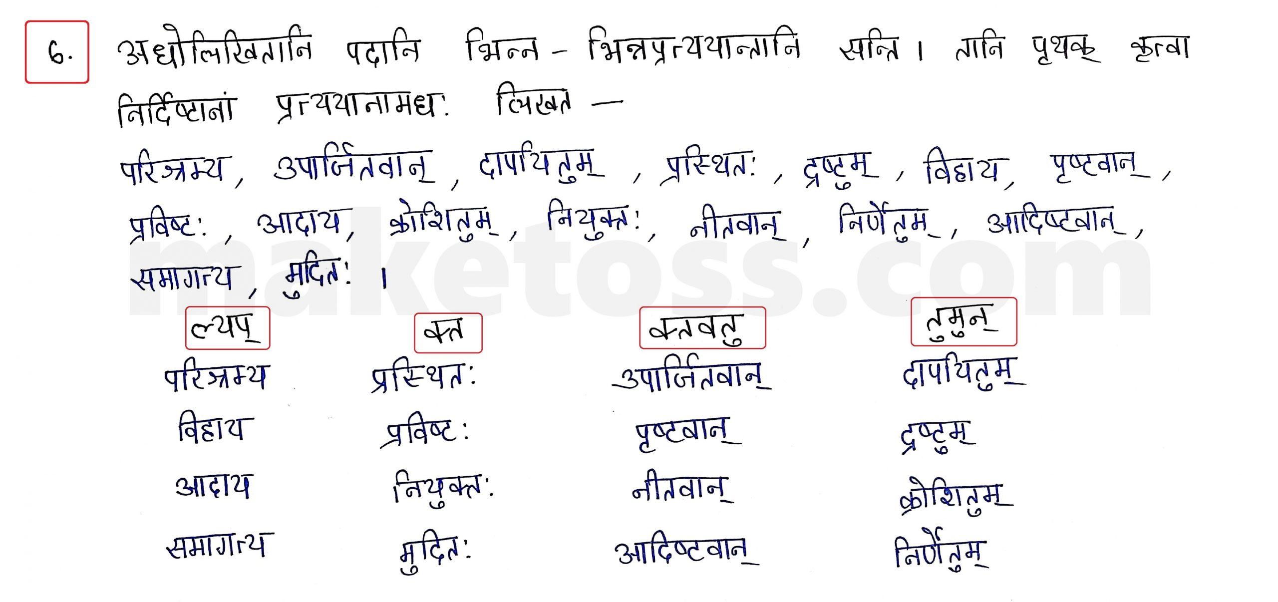Sanskrit Class 10 - Chapter 8 - विचित्रः साक्षी - Question 6 with Answer
