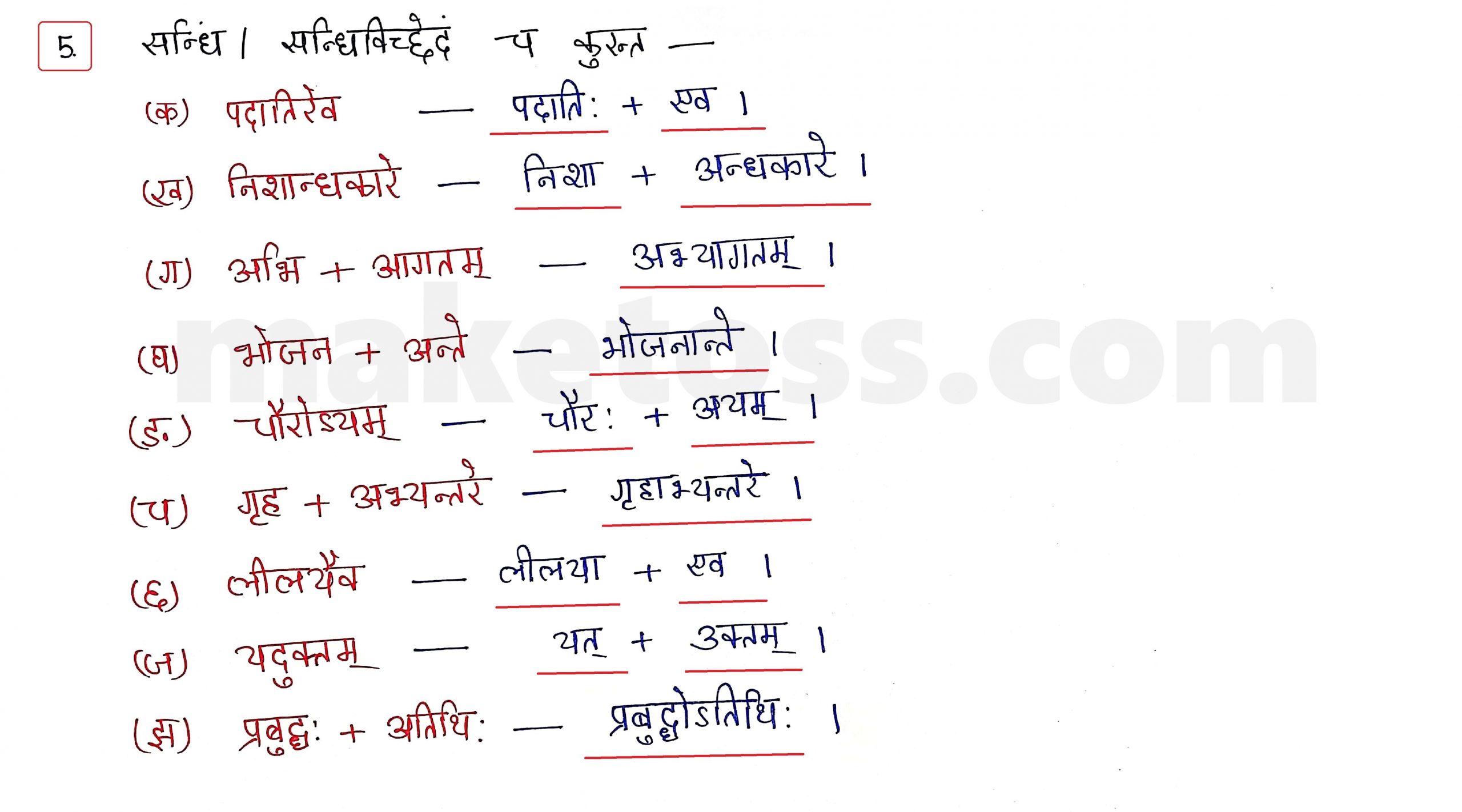Sanskrit Class 10 - Chapter 8 - विचित्रः साक्षी - Question 5 with Answer