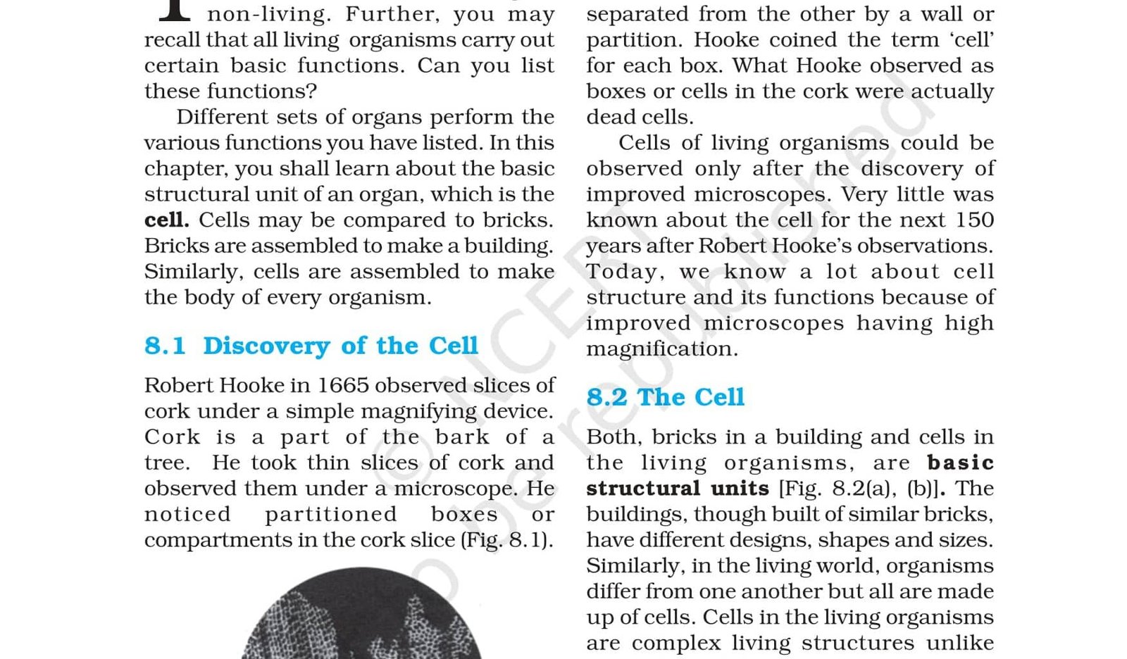 Class 8 Science - Cell Structure and Functions - NCERT Book Chapter 8 - View or Download