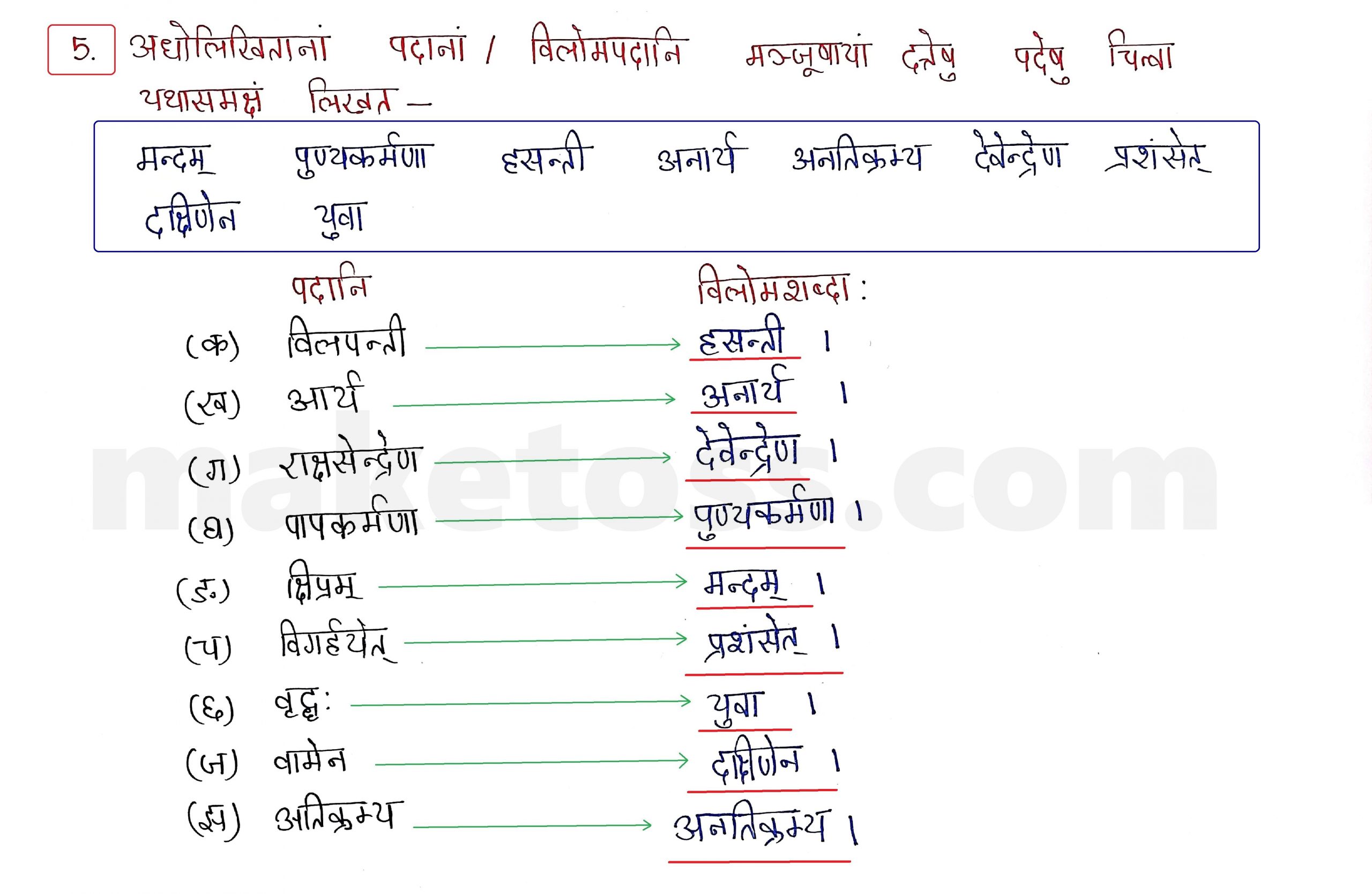 Sanskrit Class 9 - Chapter 10 - जटायोः शौर्यम् - Question 5 with Answer