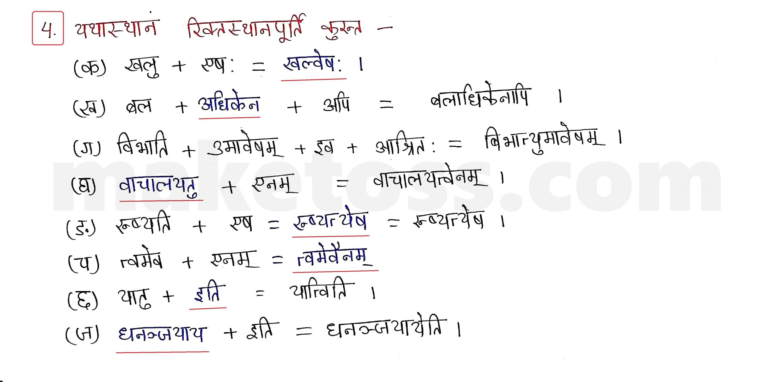 Sanskrit Class 9- Chapter 7 प्रत्यभिग्यानम्  - Question 4 with Answer