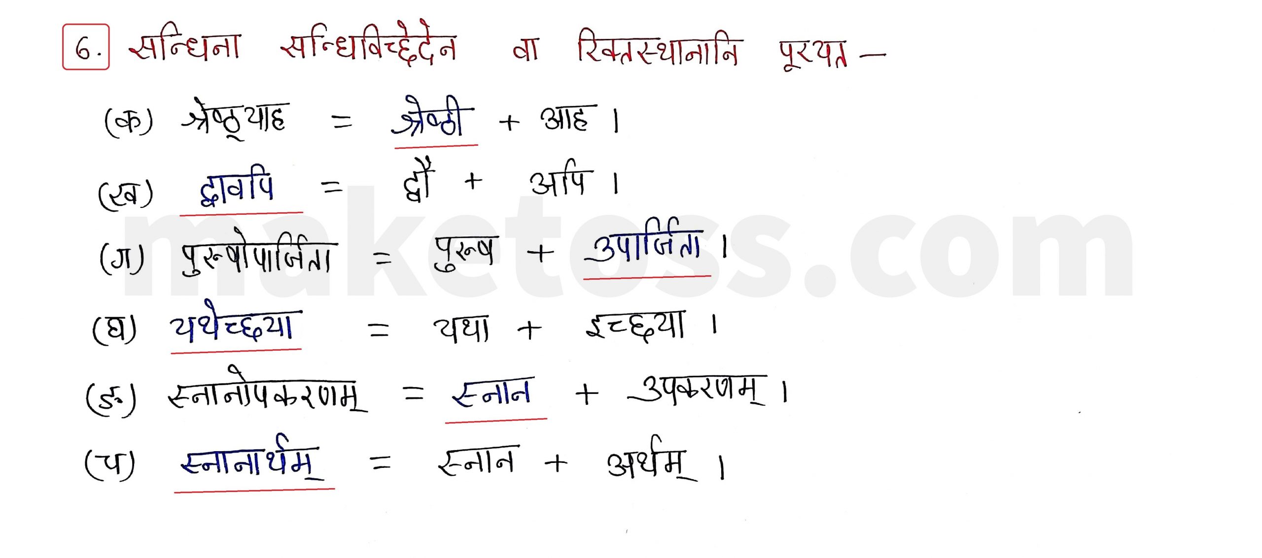 Sanskrit Class 9- Chapter 8 - लौहतुला - Question 6 with Answer