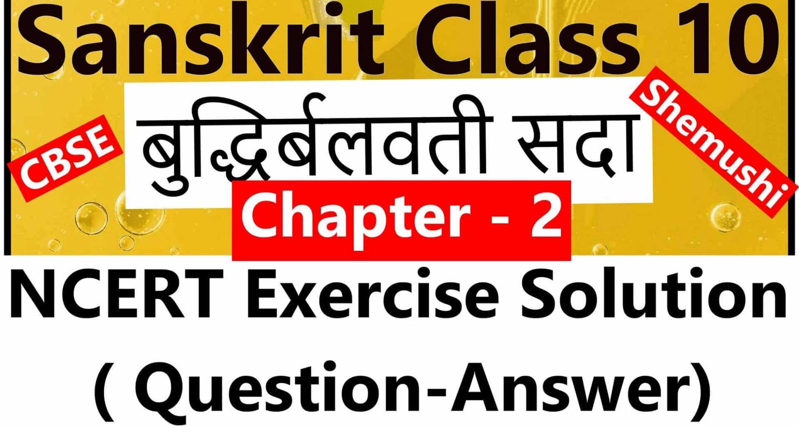Sanskrit Class 10 - Chapter 2 - बुद्धिर्बलवती सदा - NCERT Exercise Solution (Question-Answer)