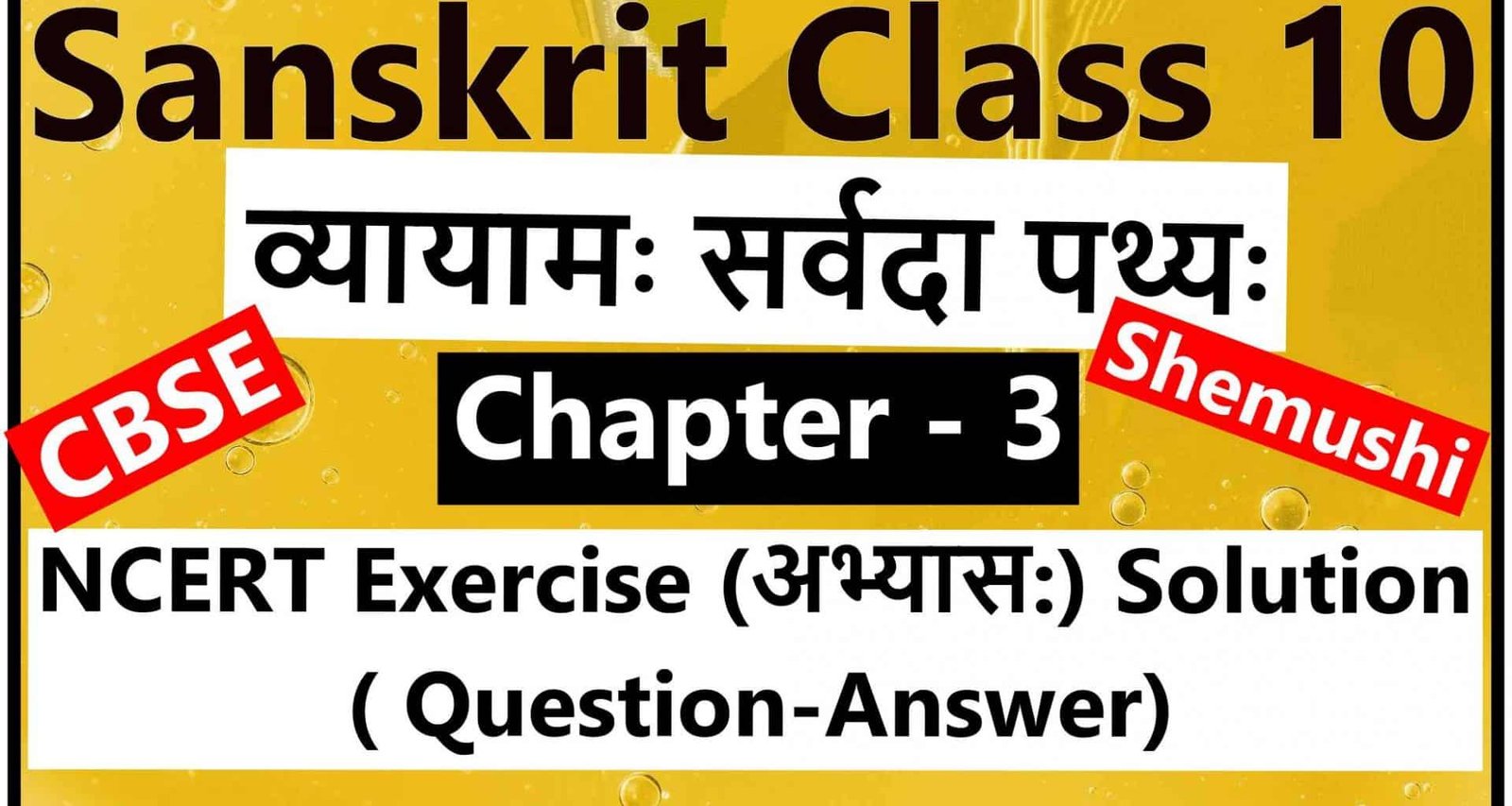 Sanskrit Class 10 - Chapter 3 - व्यायामः सर्वदा पथ्यः - NCERT Exercise Solution (Question-Answer)