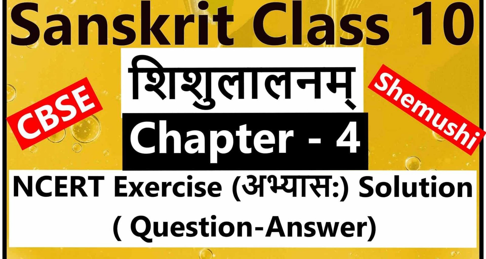 Sanskrit Class 10 - Chapter 4 - शिशुलालनम्- NCERT Exercise Solution (Question-Answer)