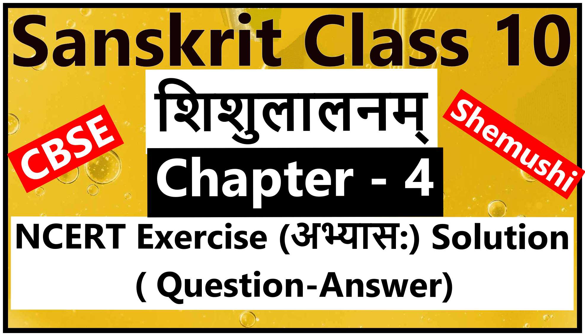 Sanskrit Class 10 - Chapter 4 - शिशुलालनम्- NCERT Exercise Solution (Question-Answer)