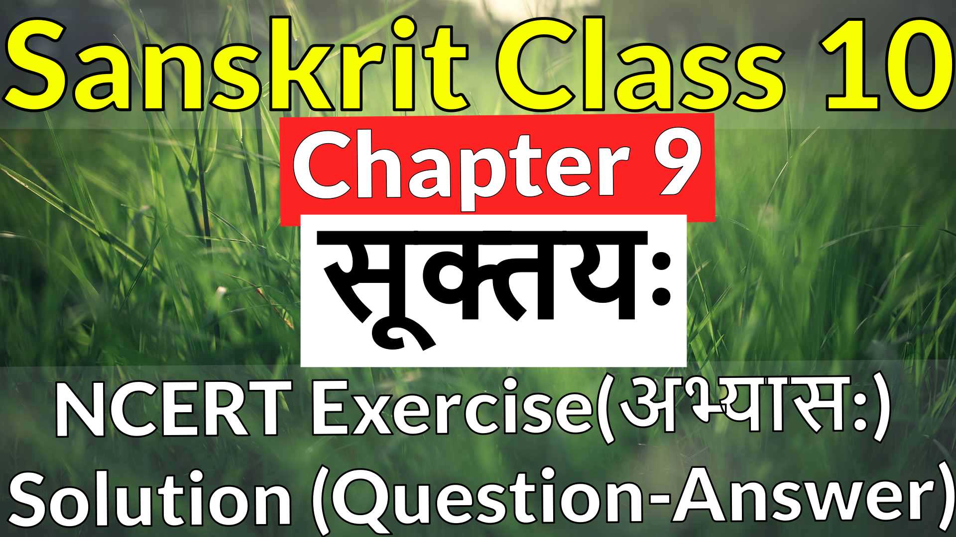 Sanskrit Class 10 - Chapter 9 - सूक्तयः - NCERT Exercise Solution (Question-Answer)