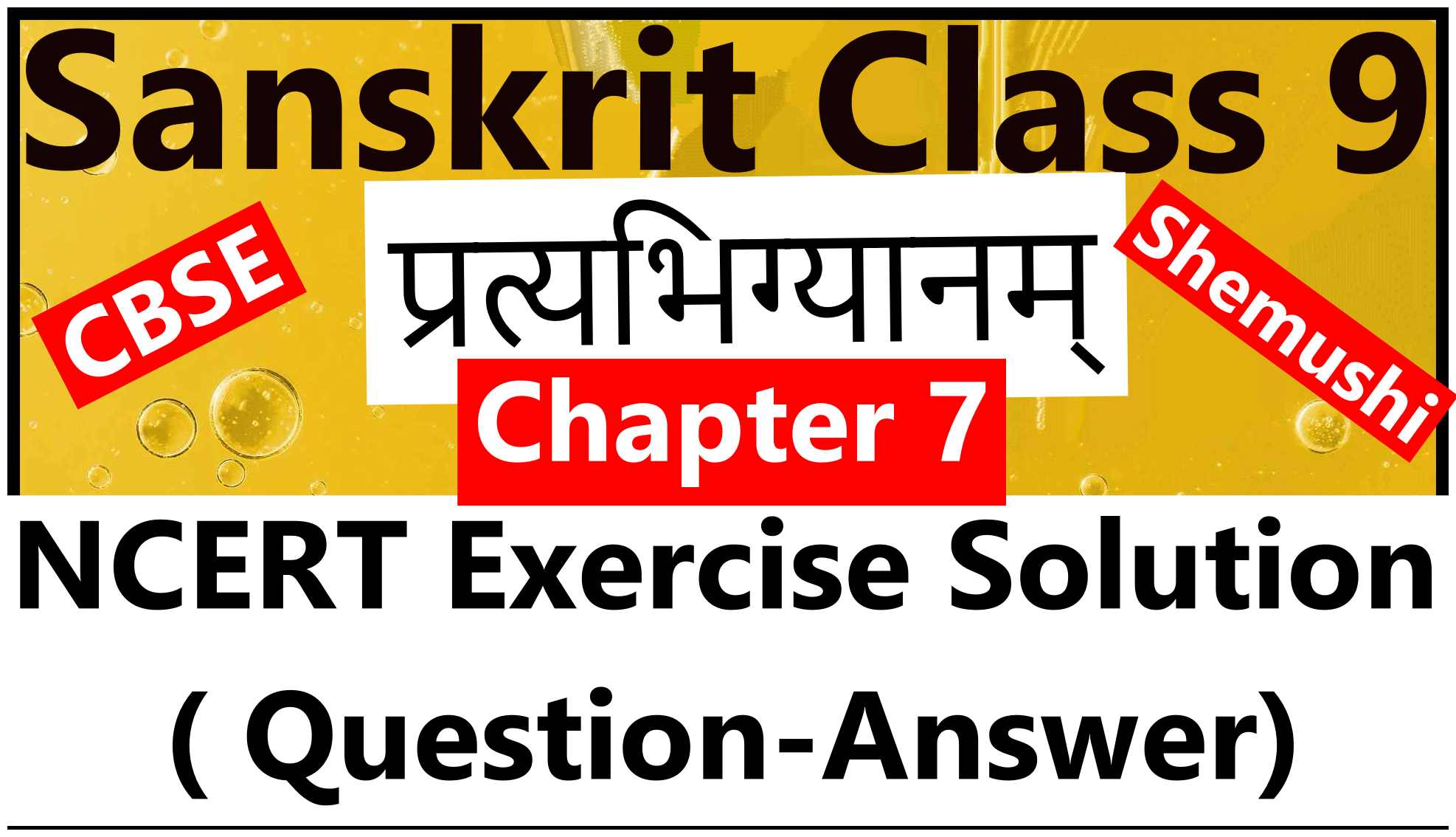 Sanskrit Class 9 Chapter 7 प्रत्यभिग्यानम् - NCERT Exercise Solution ( Question-Answer)